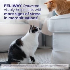 Feliway Optimum Diffuser For Cats - Stress & Anxiety Relief 12 Feliway Optimum Diffuser For Cats - Stress & Anxiety Relief -Catit Store 5339934 alt4