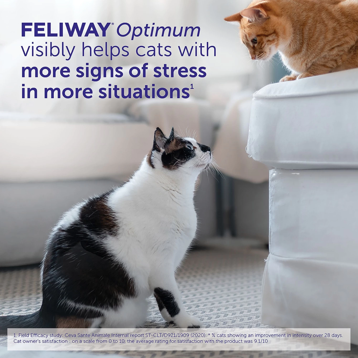 Feliway Optimum Diffuser For Cats - Stress & Anxiety Relief 7 Feliway Optimum Diffuser For Cats - Stress & Anxiety Relief - Image 5