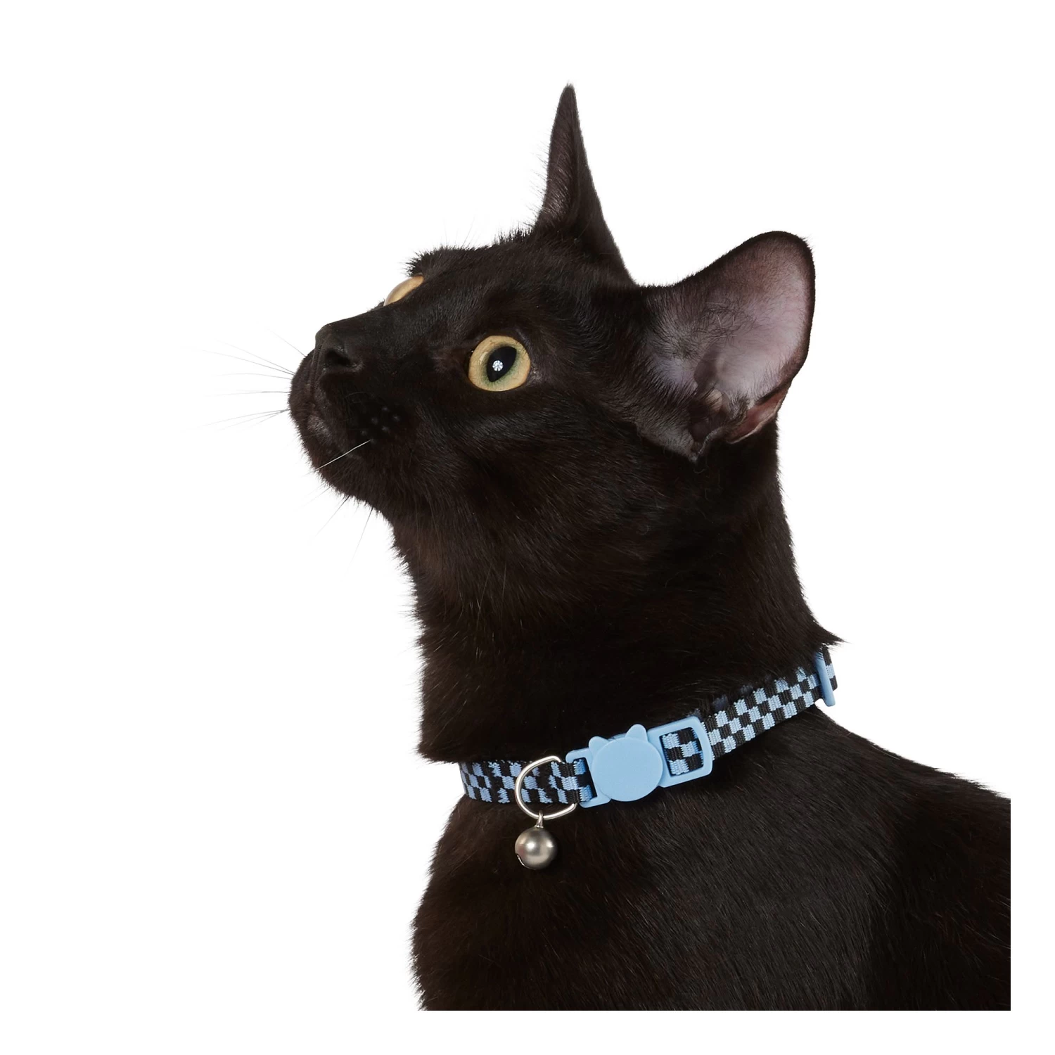 Whisker City® Blue Checkered Easy Release Kitten & Cat Collar 4 Whisker City® Blue Checkered Easy Release Kitten & Cat Collar - Image 2