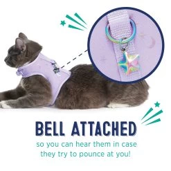 Whisker City® Purple Moons Cat Leash & Harness Combo -Catit Store 5342760 alt3