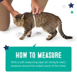 Whisker City® Purple Moons Cat Leash & Harness Combo -Catit Store 5342760 alt5