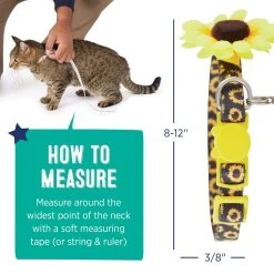 Whisker City® Sunflower Easy Release Kitten & Cat Collar -Catit Store 5342783 alt4