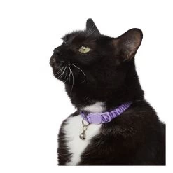 Whisker City® Purple Zebra Print Easy Release Kitten & Cat Collar -Catit Store 5342789 alt1