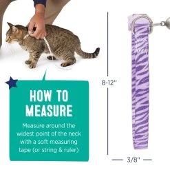 Whisker City® Purple Zebra Print Easy Release Kitten & Cat Collar -Catit Store 5342789 alt4