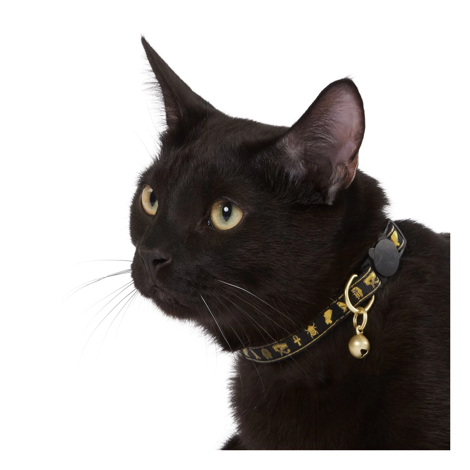 Whisker City® Gold Egyptian Easy Release Kitten & Cat Collar 4 Whisker City® Gold Egyptian Easy Release Kitten & Cat Collar - Image 2