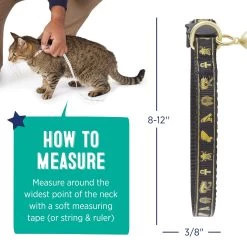 Whisker City® Gold Egyptian Easy Release Kitten & Cat Collar 11 Whisker City® Gold Egyptian Easy Release Kitten & Cat Collar -Catit Store 5342795 alt4