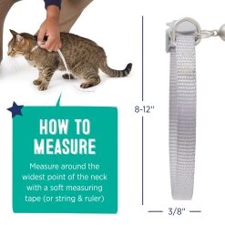 Whisker City® Gray Easy Release Kitten & Cat Collar 11 Whisker City® Gray Easy Release Kitten & Cat Collar -Catit Store 5342799 alt4