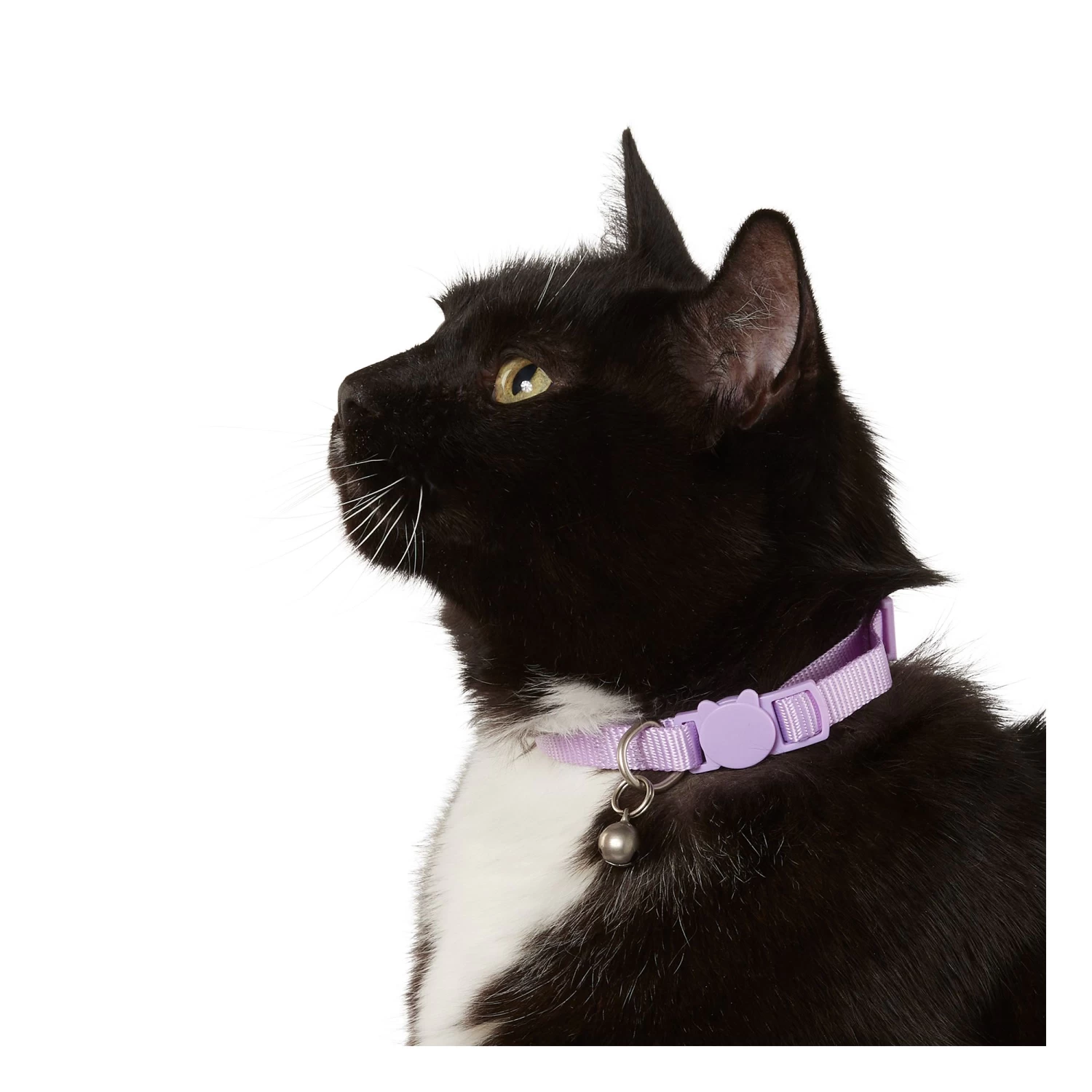 Whisker City® Lavender Easy Release Kitten & Cat Collar 4 Whisker City® Lavender Easy Release Kitten & Cat Collar - Image 2