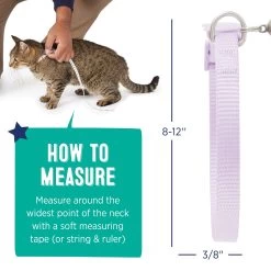 Whisker City® Lavender Easy Release Kitten & Cat Collar 11 Whisker City® Lavender Easy Release Kitten & Cat Collar -Catit Store 5342801 alt4