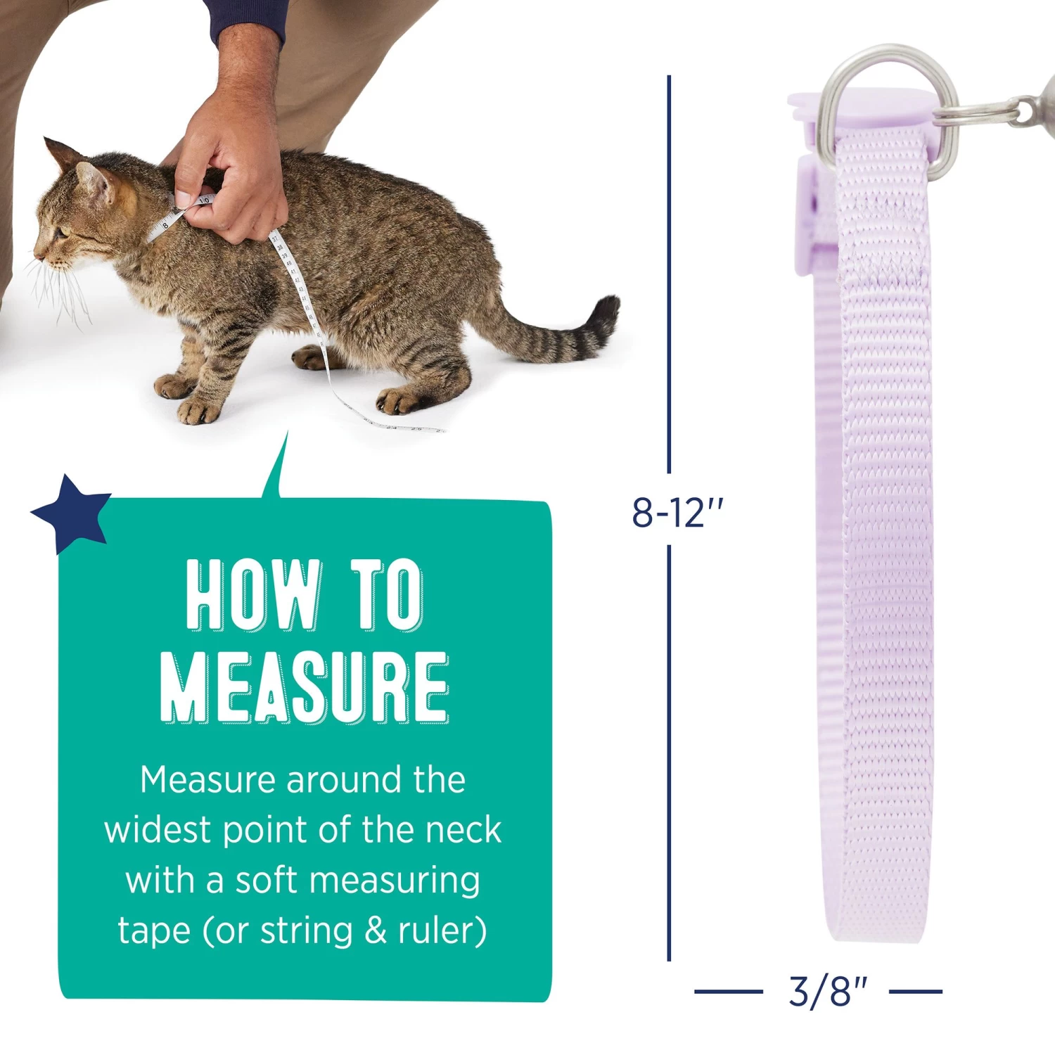 Whisker City® Lavender Easy Release Kitten & Cat Collar 7 Whisker City® Lavender Easy Release Kitten & Cat Collar - Image 5