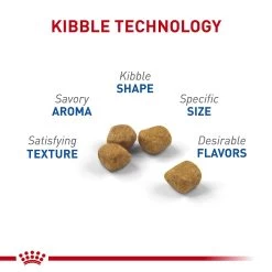 Royal Canin Indoor 7+ Dry Cat Food 5.5LB 8 Royal Canin Indoor 7+ Dry Cat Food 5.5LB -Catit Store 5343924 alt2