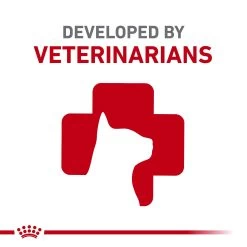 Royal Canin Ragdoll Dry Cat Food 7LB -Catit Store 5344186 alt2