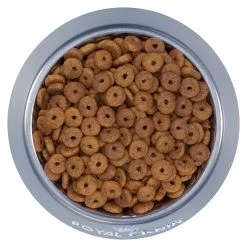 Royal Canin Feline Health Nutrition Fit And Active Dry Adult Cat Food 11 Royal Canin Feline Health Nutrition Fit And Active Dry Adult Cat Food -Catit Store 5345503 alt2