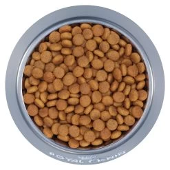 Royal Canin Feline Health Nutrition Aging Spayed / Neutered 12+ Dry Adult Cat Food -Catit Store 5345538 alt2